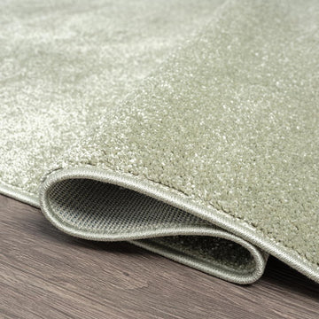 Haze Solid Low-pile Area Rug Green